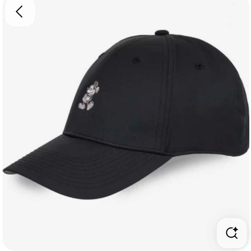Disney parks Nike baseball hat with Mickey Mouse Embroidery